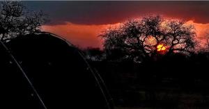 Ndanindani Lodge and Campsite