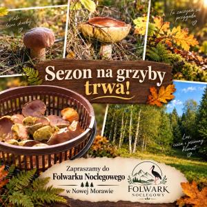 Folwark Noclegowy w Nowej Morawie - Holenderka na wys 600 m