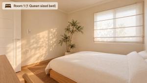 Large Group Stay near Hongdae