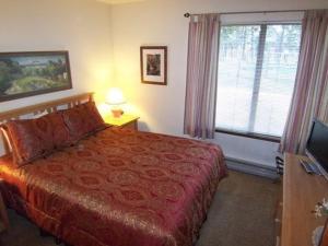 1 Bedroom Standard Condos