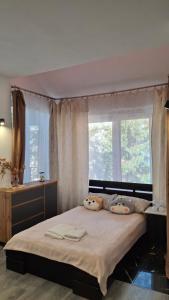 Family Apartments Dorobok Lviv