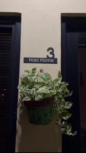 NARS Home