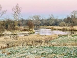 Niebieski Domek z Sauną nad Pilicą
