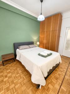 Spacious ATHENS Central Apartment