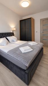 Apartament Grey