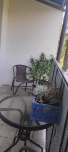 Apartament pod Pałacem