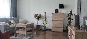 Apartament pod Pałacem