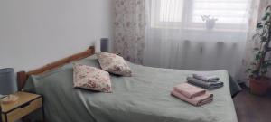 Apartament pod Pałacem