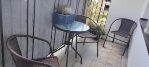 Apartament pod Pałacem