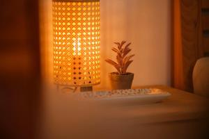 The Secret Garden Apartments
