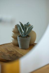 The Secret Garden Apartments