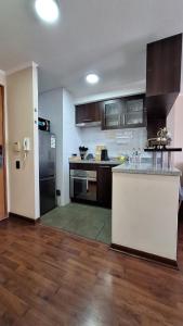 Acogedor departamento a pasos de Bellas Artes y Lastarria