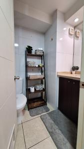 Acogedor departamento a pasos de Bellas Artes y Lastarria