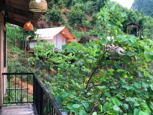 Bamboo Hill Resort