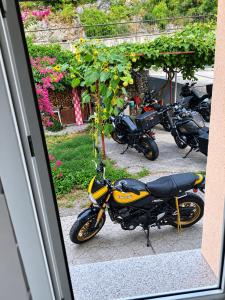 Apartman Nena Crikvenica