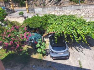 Apartman Nena Crikvenica