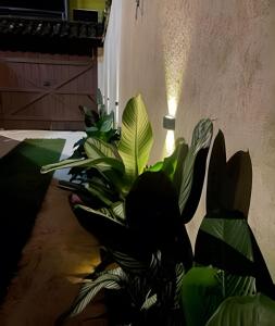 Casa confortável com garagem e churrasqueira