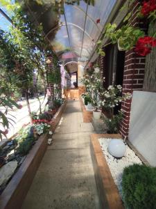 Oleander Apartman