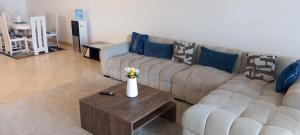 Damaris homes