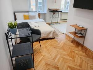 Old Town Apartments Krakowska Street Apt 3a