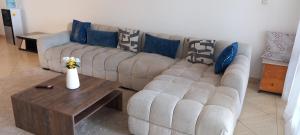 Damaris homes