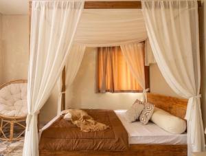 Canopy & Calm 1BHK HSR AC Balcony Wifi