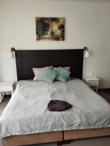 Cozy Basilica Studio 4