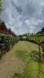 The Kumaoni Stay