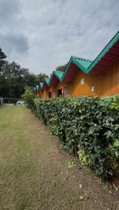 The Kumaoni Stay