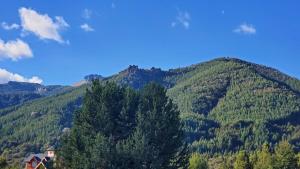 Departamento de montaña, a pasos del rio y rodeado de bosque