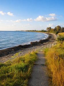 Villa Energy 150 meters from the sea