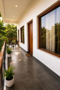 Nature Nest Resort