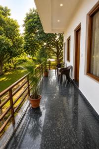 Nature Nest Resort