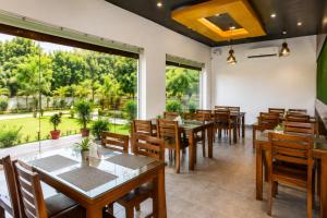 Nature Nest Resort