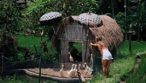 MATHIS Retreat Ubud