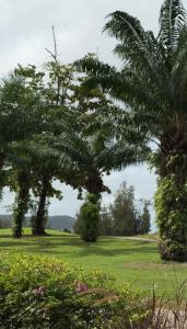 2BR with Private Terrace in Laguna Phuket
