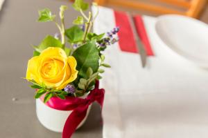 Moor-Rosl Apartmenthotel