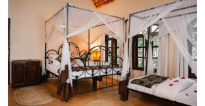 Arusha Felderhof House