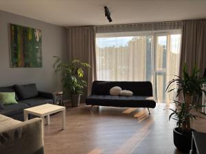 Sunny & Spacious Birstonas apartment