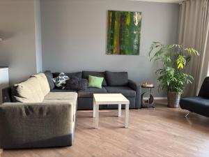 Sunny & Spacious Birstonas apartment