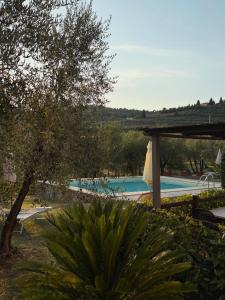 Agriturismo IL VIAIO