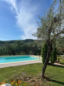 Agriturismo IL VIAIO