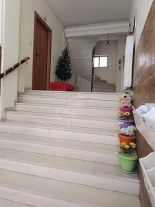 Panayotis Cute house