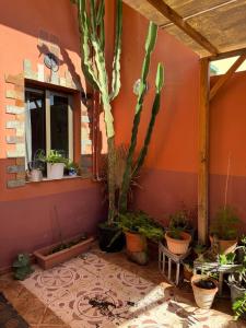 Madre Amada - Casa de Pueblo con vistas