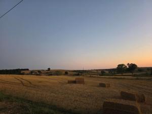 Il Casale sulla Collina vista mare