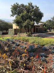 Arusha Eco Lodge