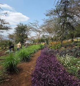 Arusha Eco Lodge