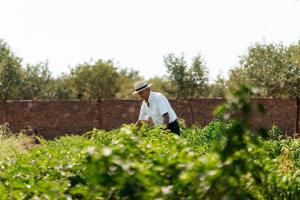 Masseria La Favorita