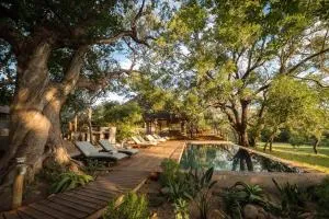Rukiya Safari Camp - Hoedspruit