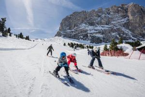 SAN PIETRO DOLOMITI Small Budget Hotel